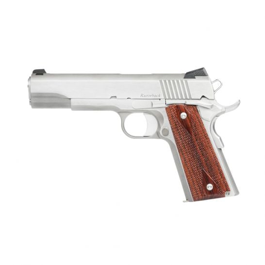 796459-Dan_Wesson_Razorback_10mm_Pistol_Stainless_01889.jpg